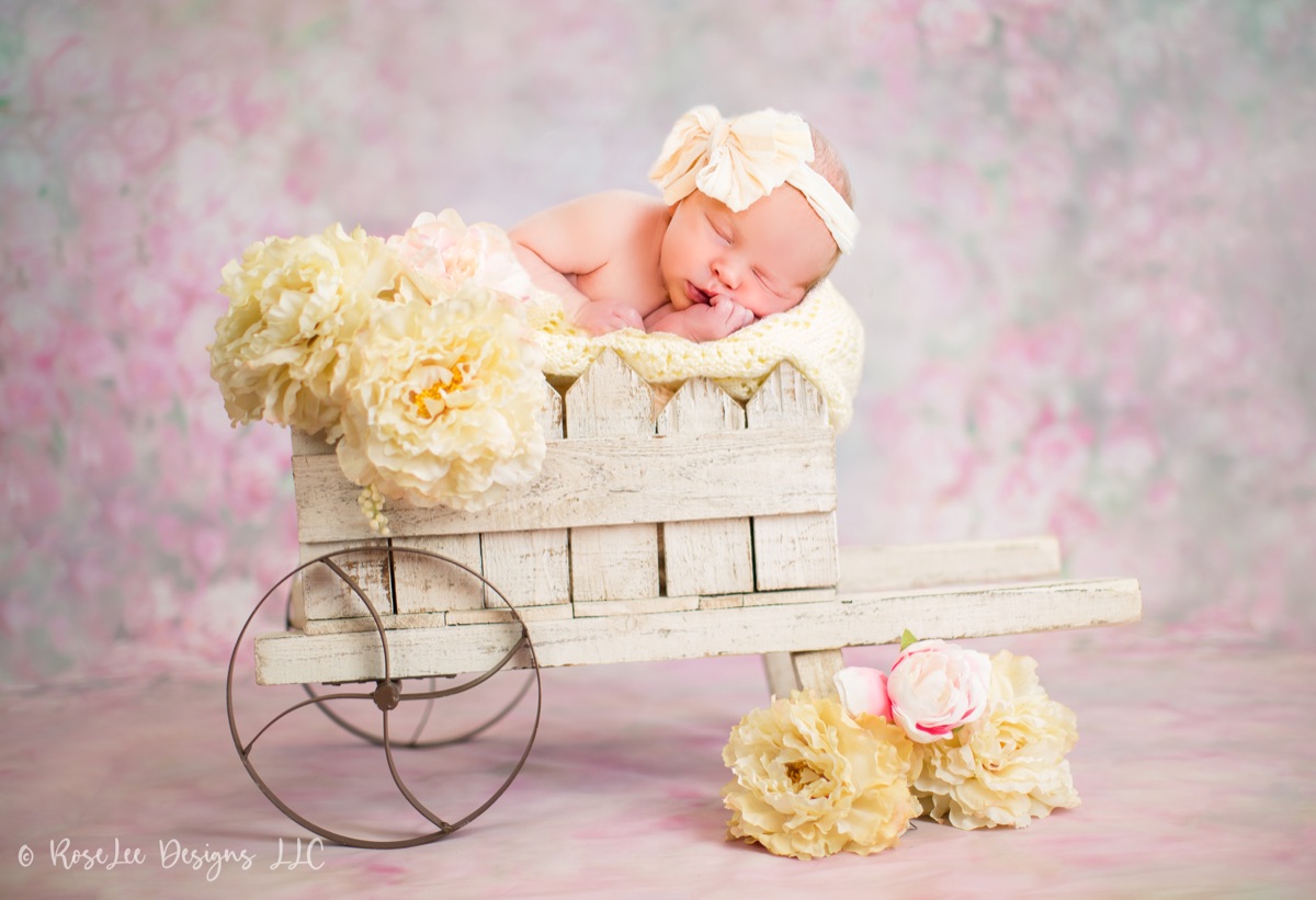 Sleeping newborn in a tiny vintage wagon with soft pink flowers